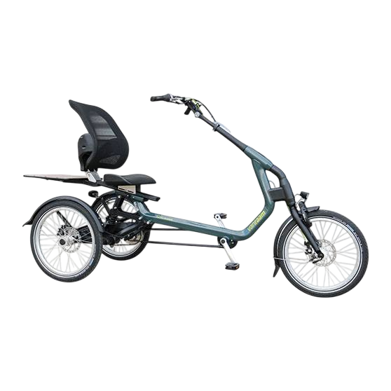 Easy-Rider-tricycle-Van-Raam-freestanding-Photoroom